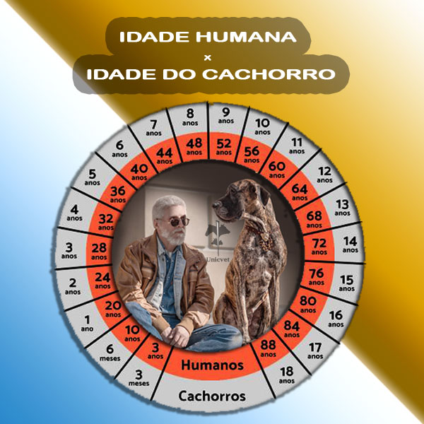 Idade Humana x Idade Cachorro